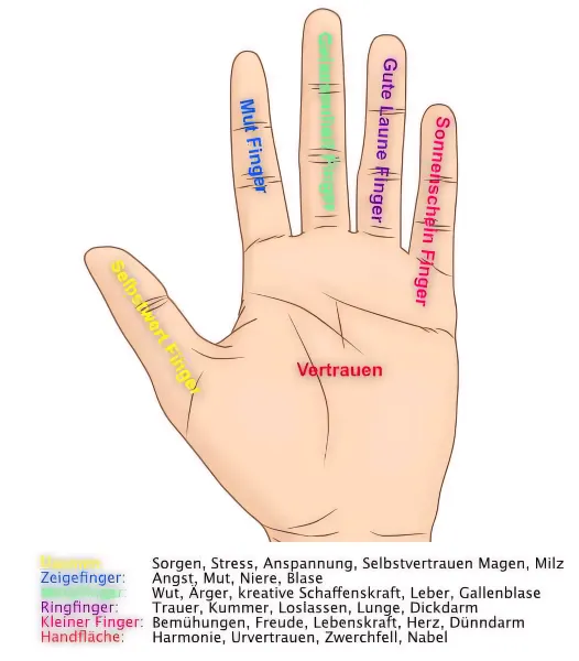 Eine gezeichnete Hand mit der Bedeutung der Finger für das Heilströmen