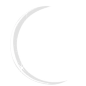 Lichtpferde_Logo-transparent-weiss